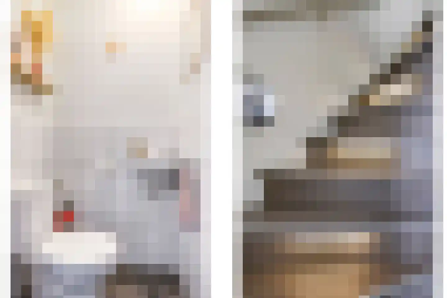 Sterappel 50 Zetten thumbnail 25