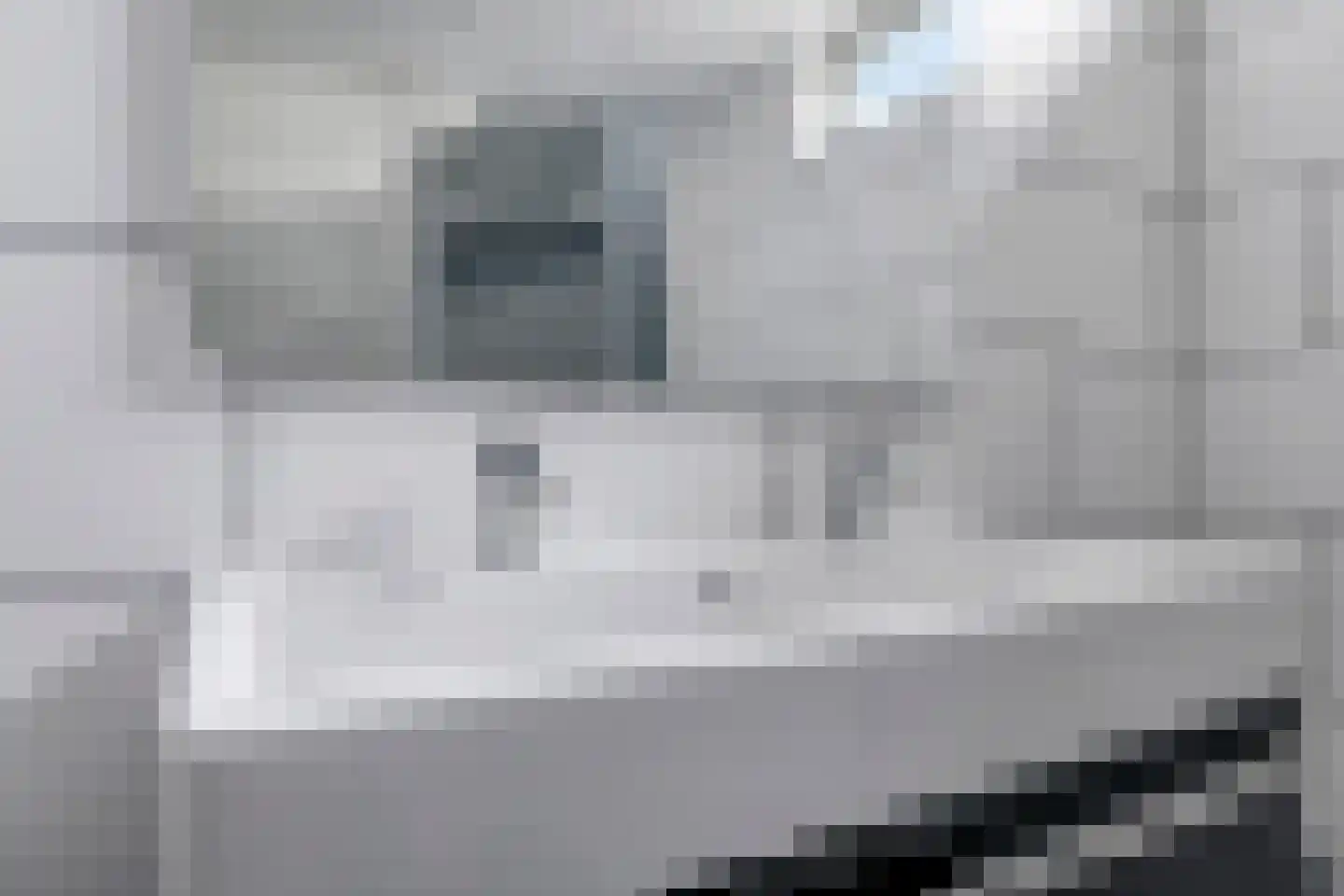 Sterappel 50 Zetten thumbnail 31