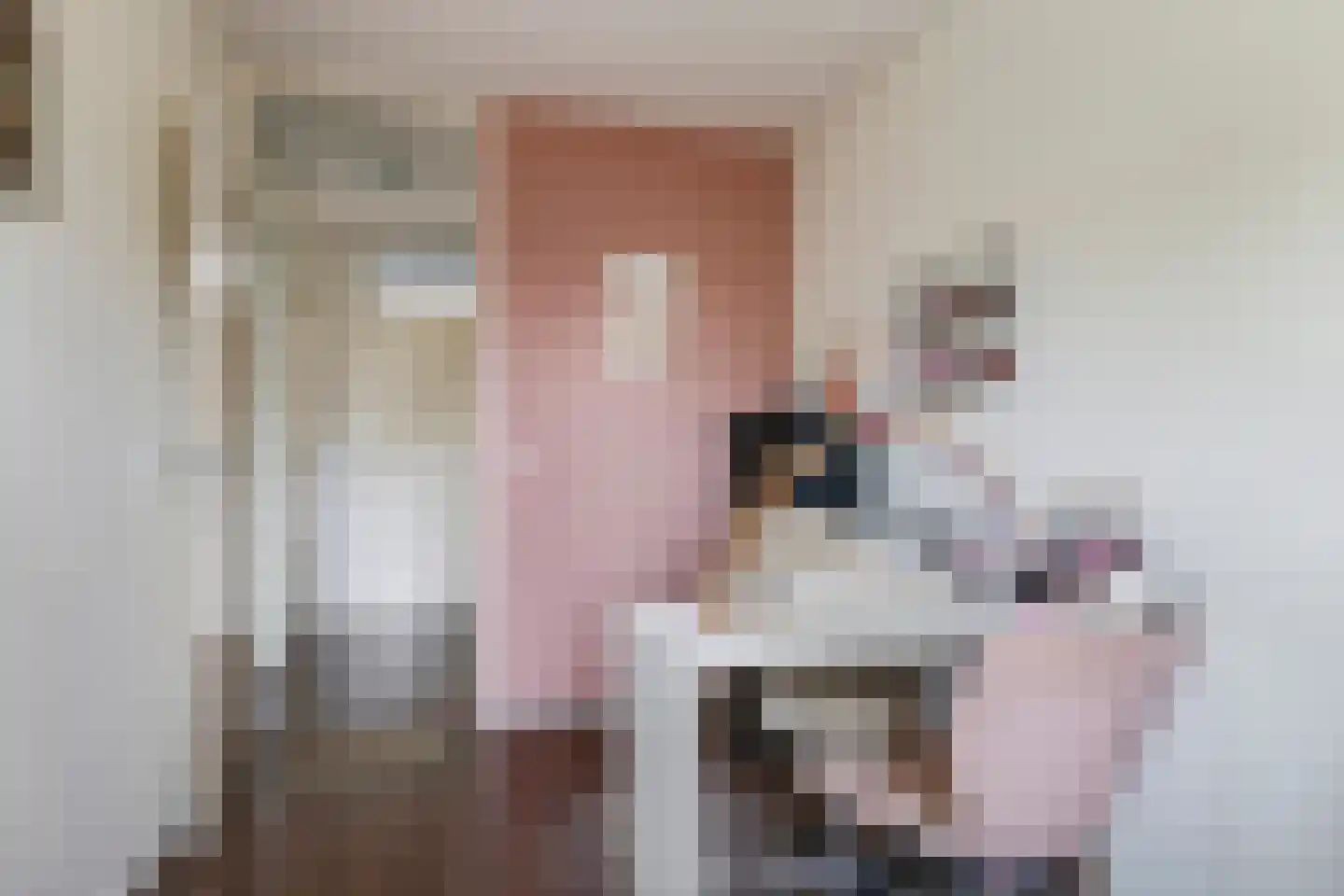 Sterappel 50 Zetten thumbnail 36