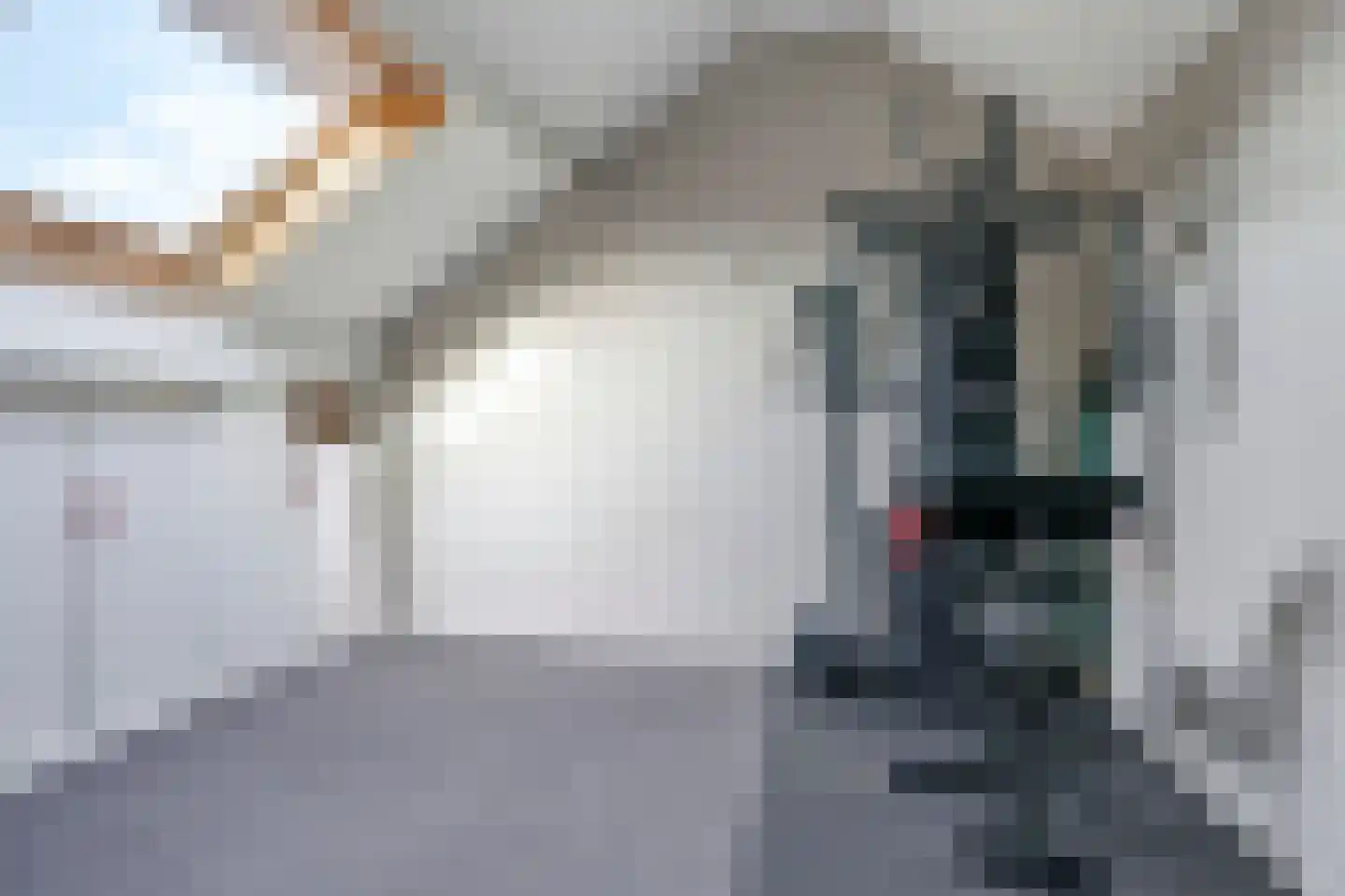 Sterappel 50 Zetten thumbnail 40