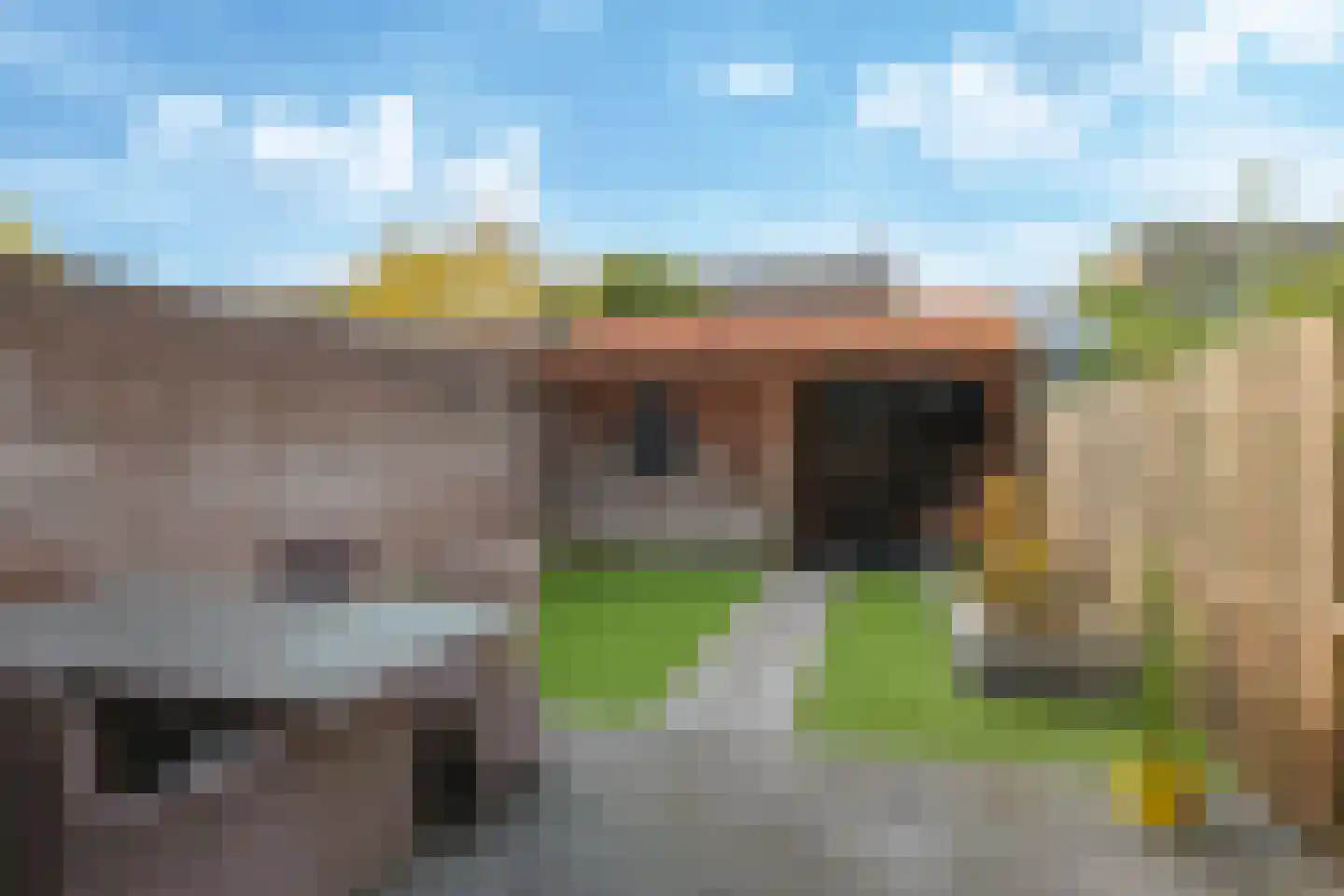 Sterappel 50 Zetten thumbnail 46