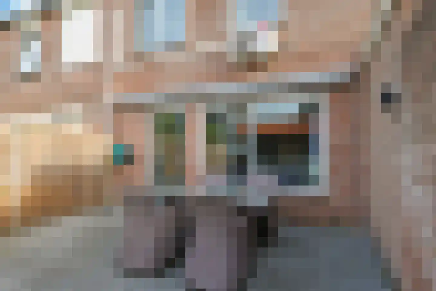 Sterappel 50 Zetten thumbnail 47