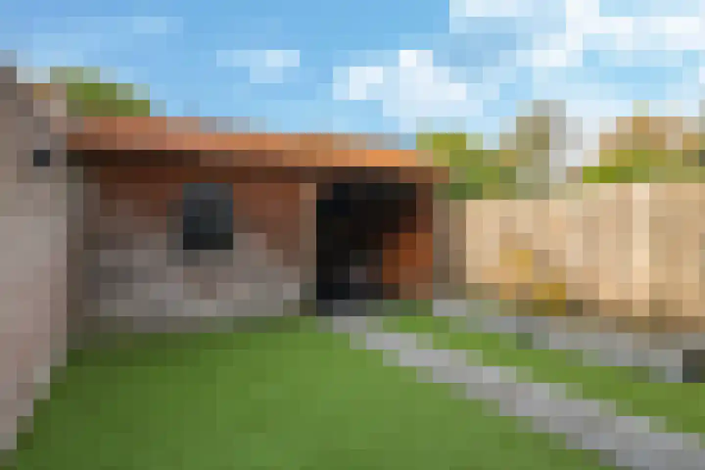 Sterappel 50 Zetten thumbnail 48