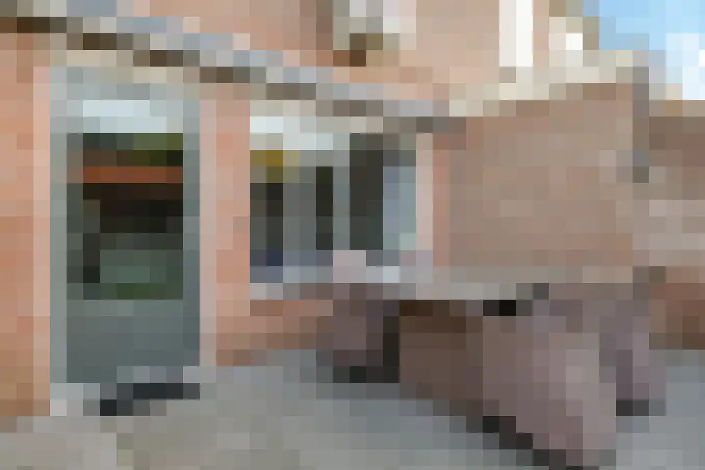 Sterappel 50 Zetten thumbnail 49