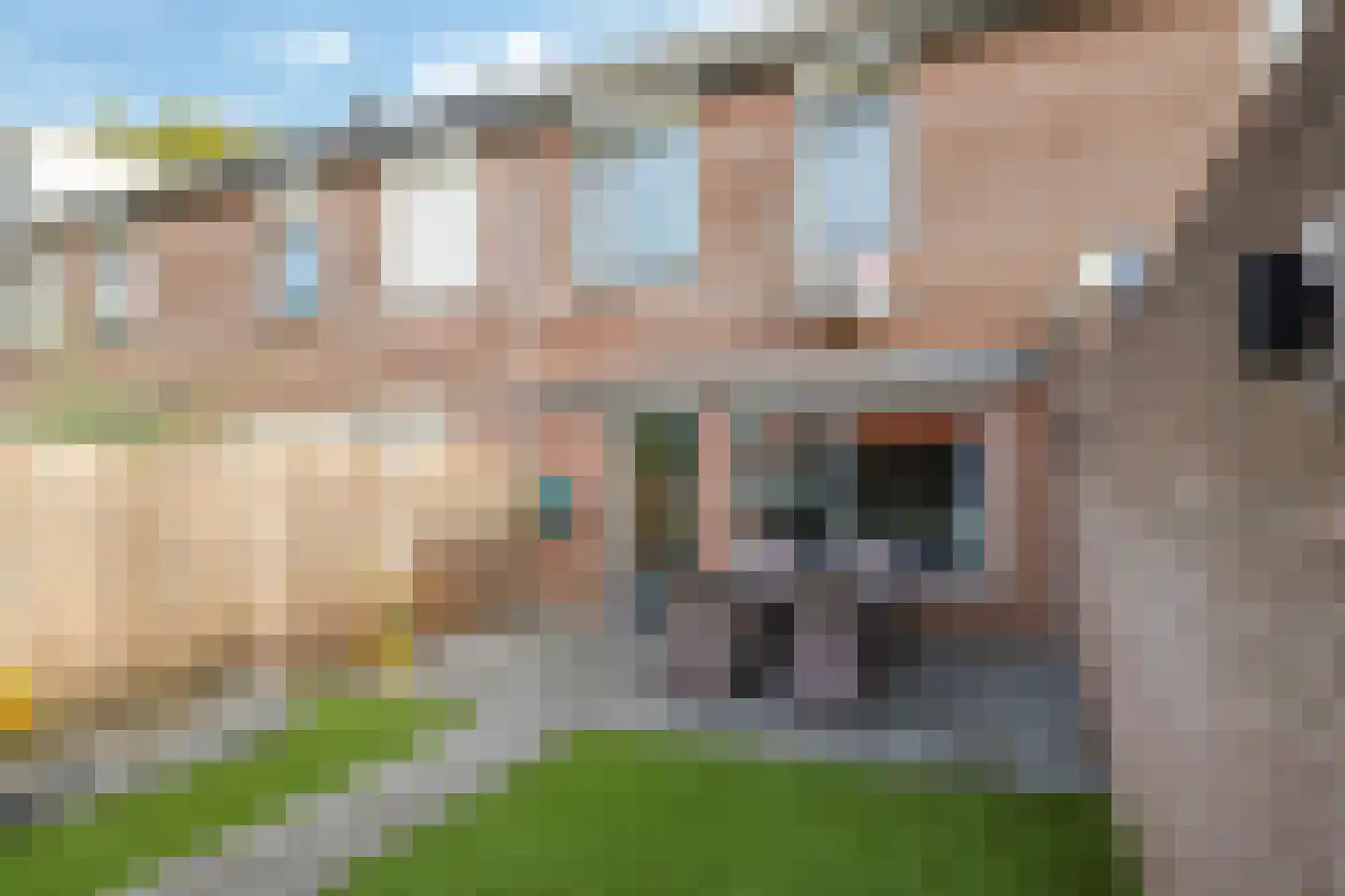 Sterappel 50 Zetten thumbnail 56