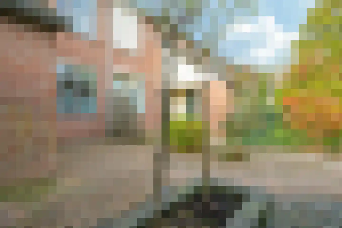 Sterappel 50 Zetten thumbnail 60