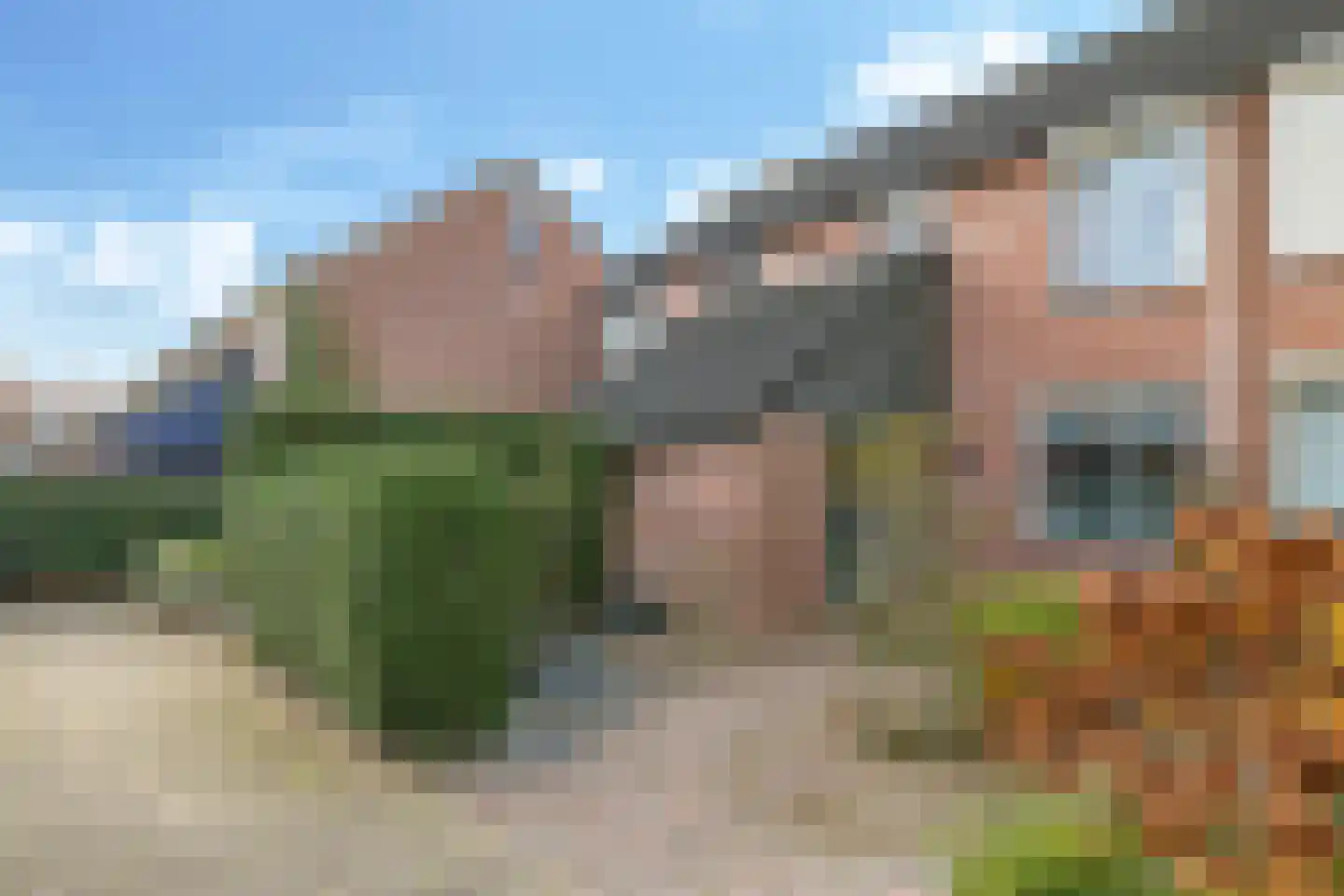 Sterappel 50 Zetten thumbnail 61