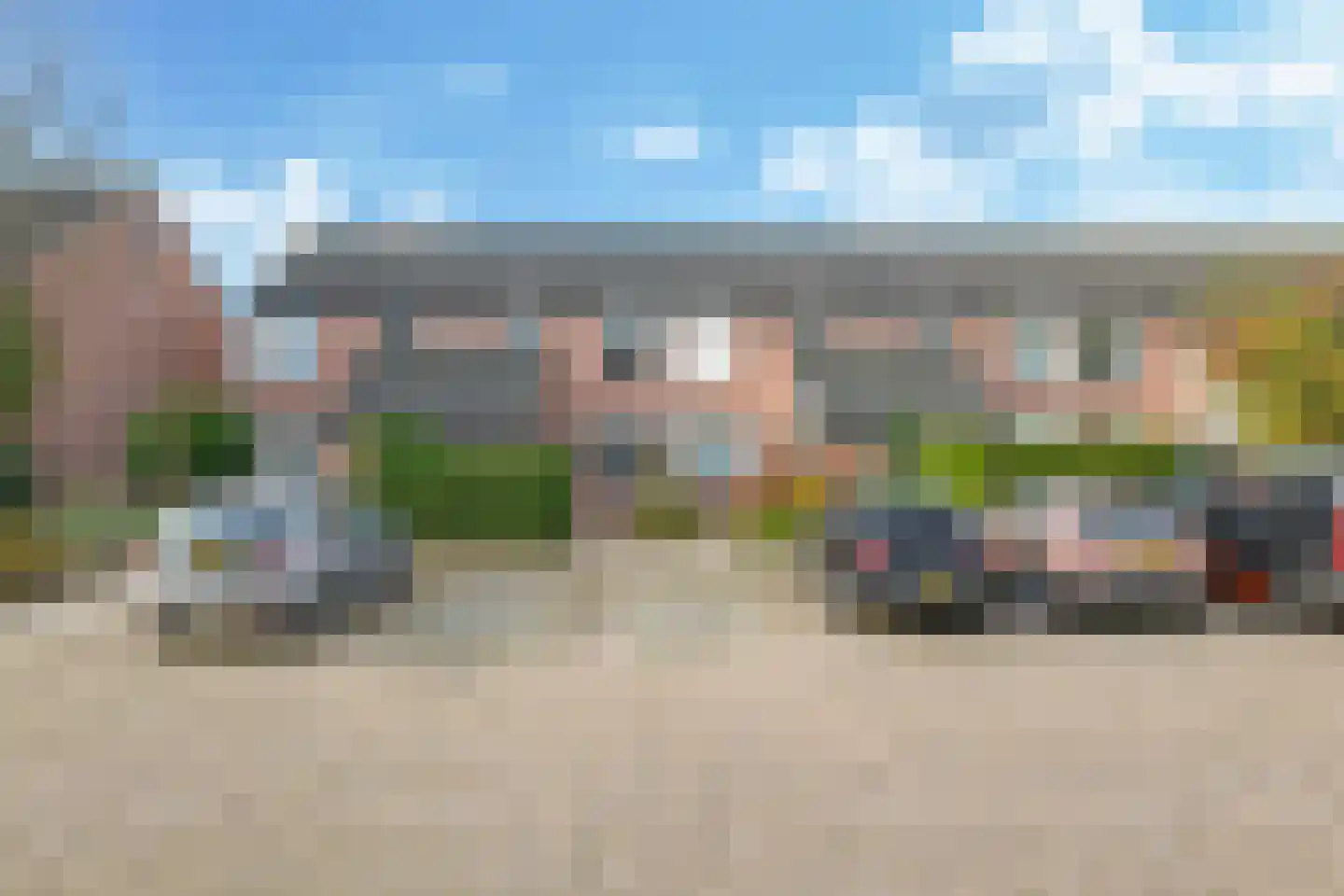Sterappel 50 Zetten thumbnail 63