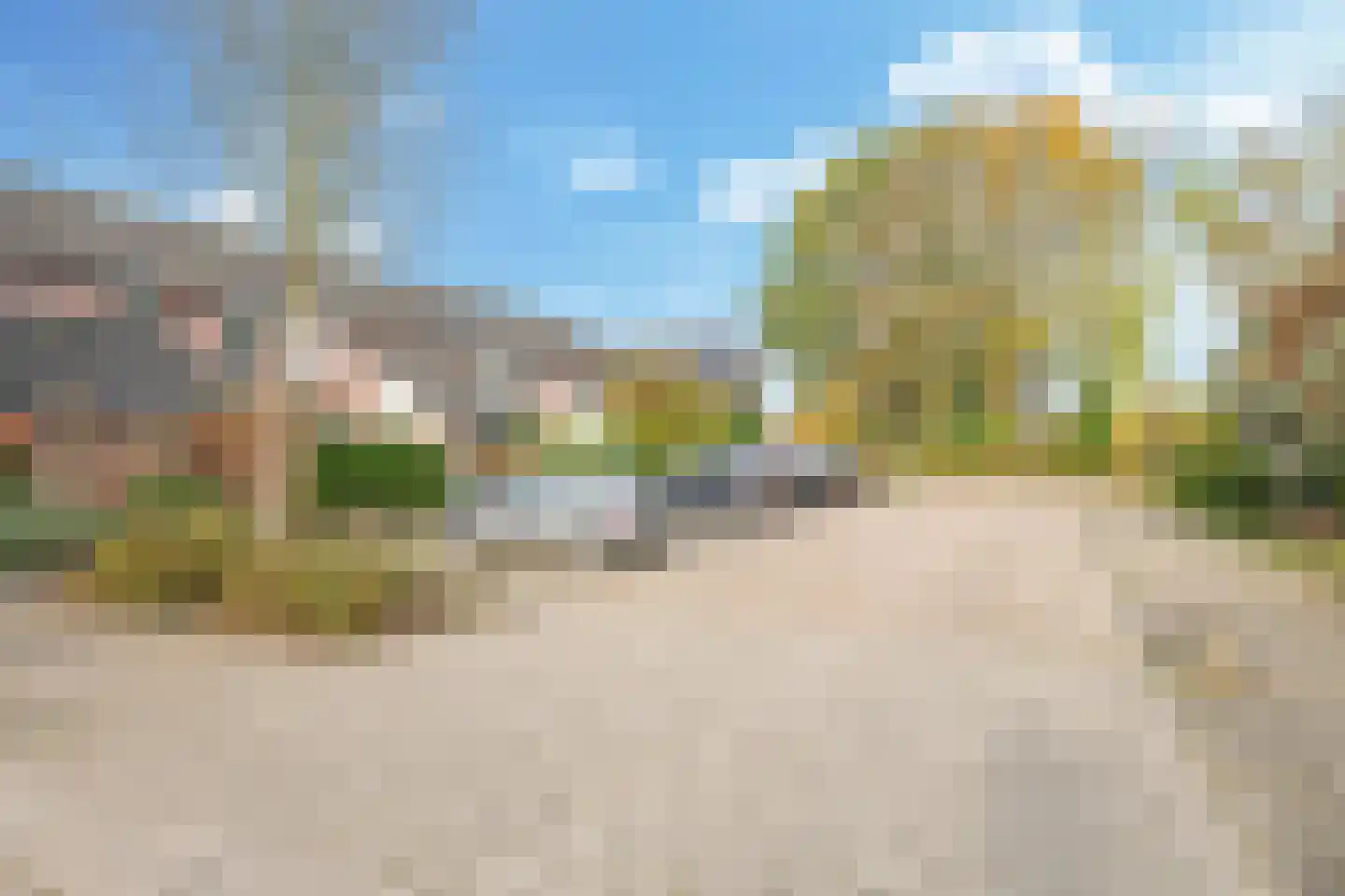 Sterappel 50 Zetten thumbnail 64