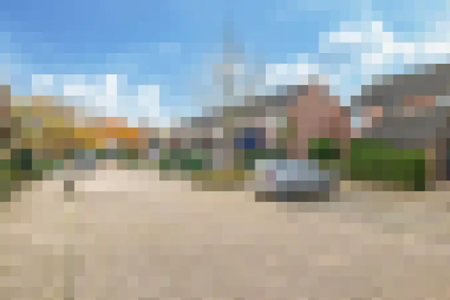 Sterappel 50 Zetten thumbnail 65
