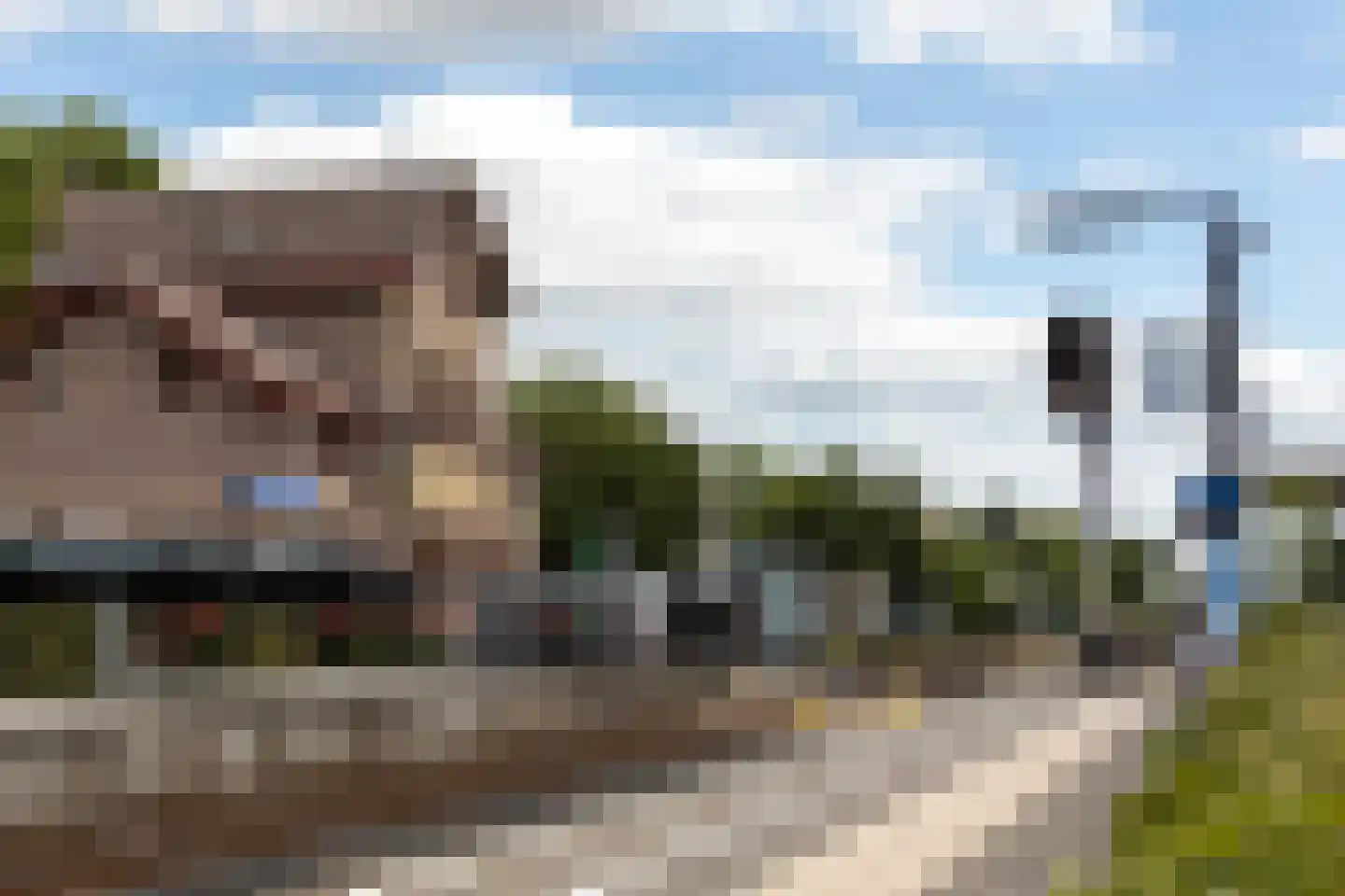 Sterappel 50 Zetten thumbnail 67