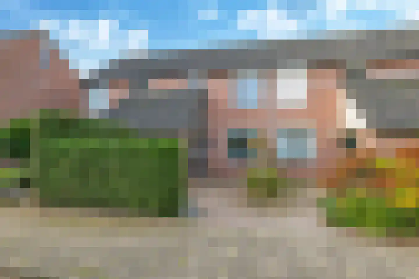Sterappel 50 Zetten thumbnail 8