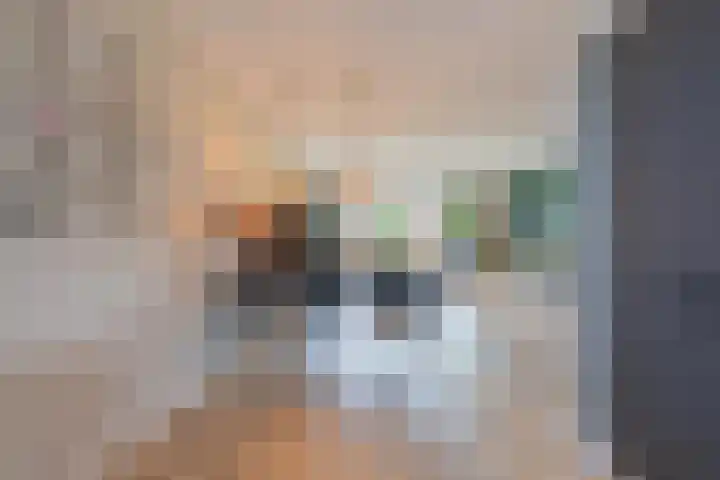 Sterappel 6 Alphen thumbnail 21
