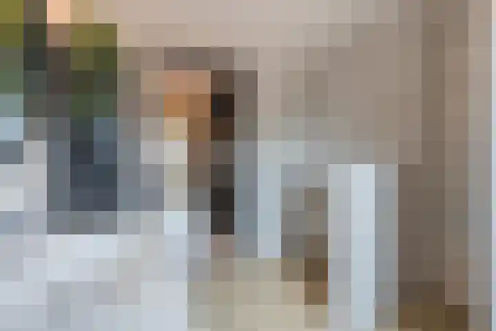 Sterappel 6 Alphen thumbnail 41