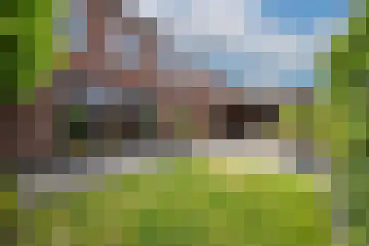 Sterappel 6 Alphen thumbnail 49