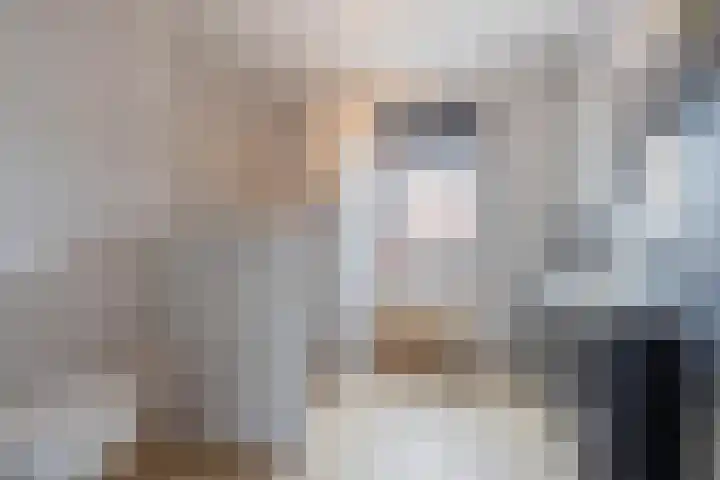 Sterappel 6 Alphen thumbnail 5