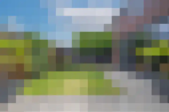 Sterappel 6 Alphen thumbnail 54