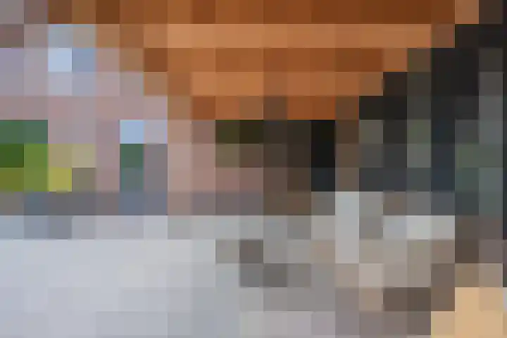 Sterappel 6 Alphen thumbnail 60