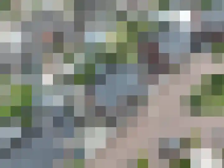 Sterappel 6 Alphen thumbnail 67