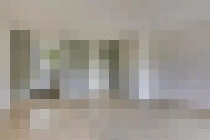Sterappel 6 Uden thumbnail 12