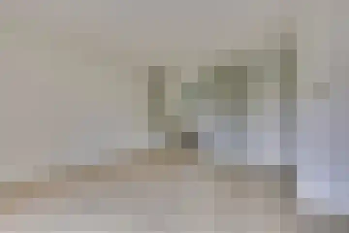 Sterappel 6 Uden thumbnail 13