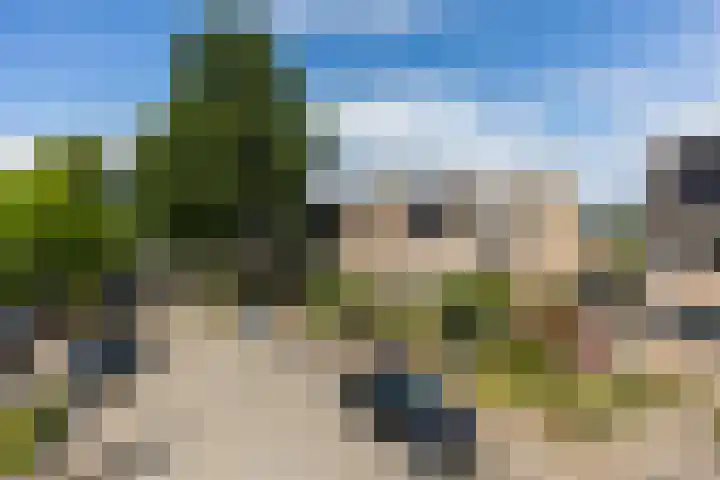 Sterappel 6 Uden thumbnail 4