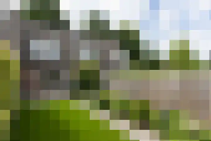 Sterappel 6 Uden thumbnail 6