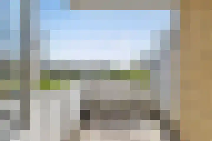 Sterappelgaard 206 Arnhem thumbnail 4