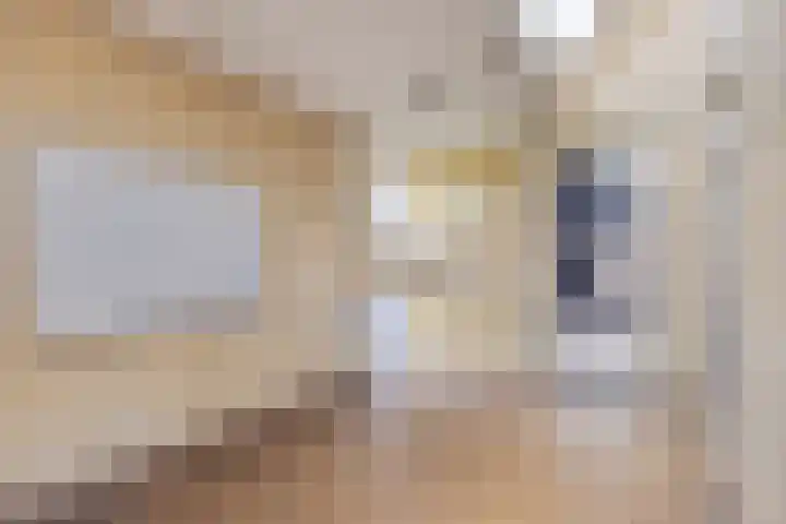Sterappelgaard 206 Arnhem thumbnail 7