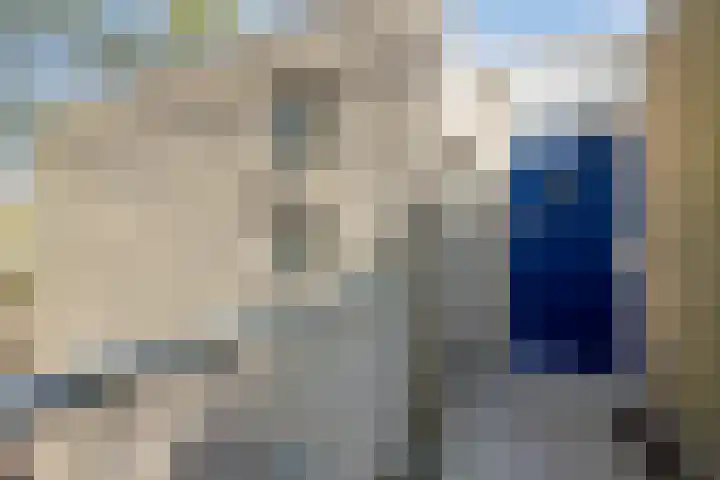 Sterappelgaard 206 Arnhem thumbnail 9