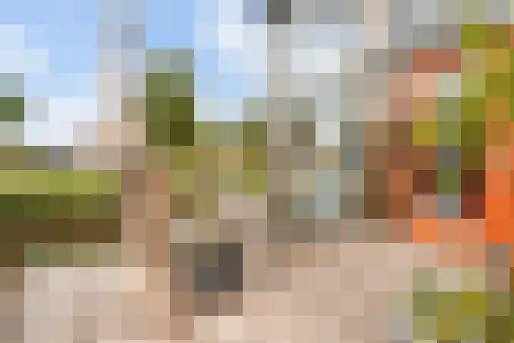 Sterappelhof 30 Zoetermeer thumbnail 18