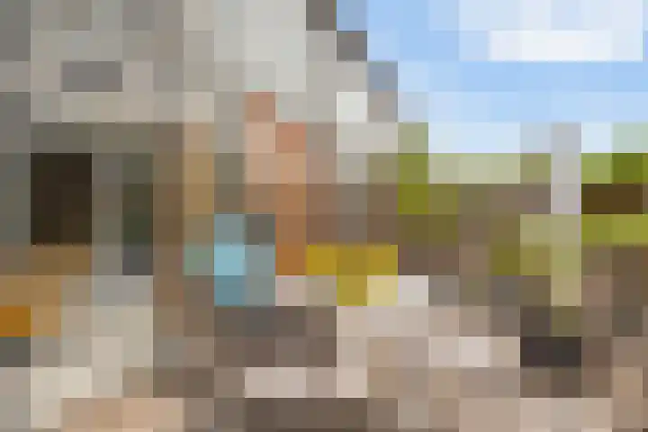 Sterappelhof 30 Zoetermeer thumbnail 20