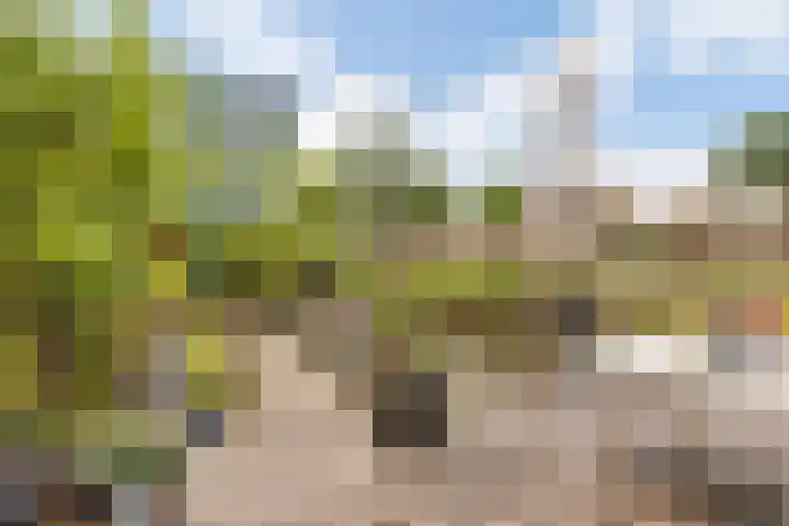 Sterappelhof 30 Zoetermeer thumbnail 21