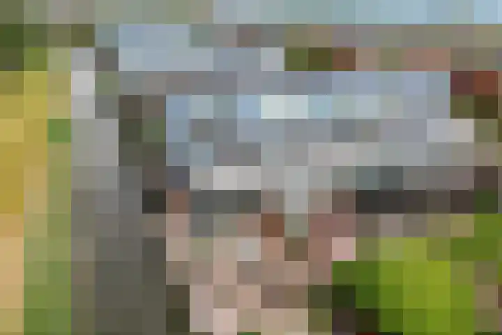 Sterappelhof 30 Zoetermeer thumbnail 22