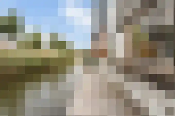 Sterappelhof 30 Zoetermeer thumbnail 23