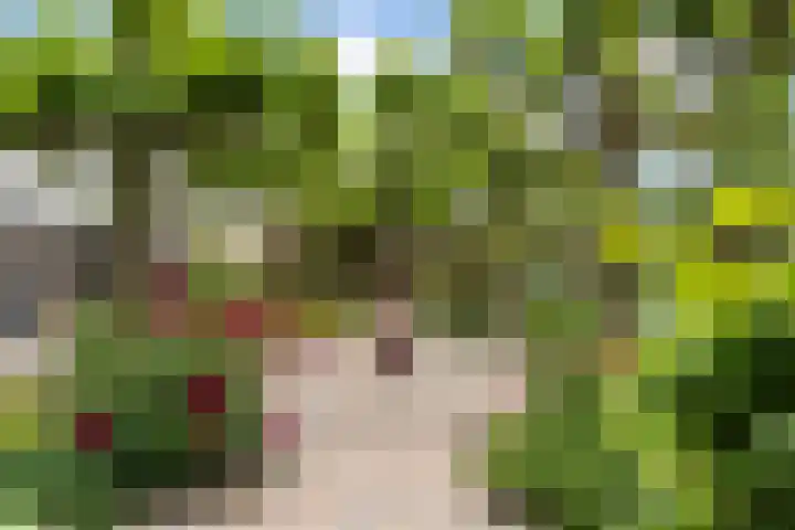 Sterappelhof 30 Zoetermeer thumbnail 28