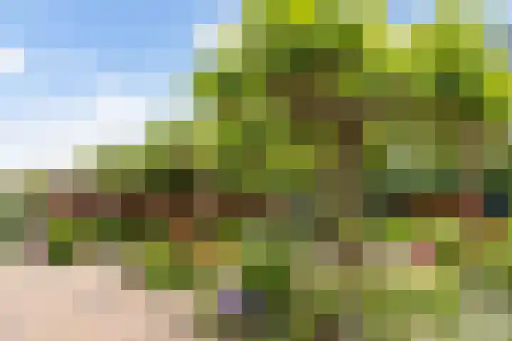 Sterappelhof 30 Zoetermeer thumbnail 29