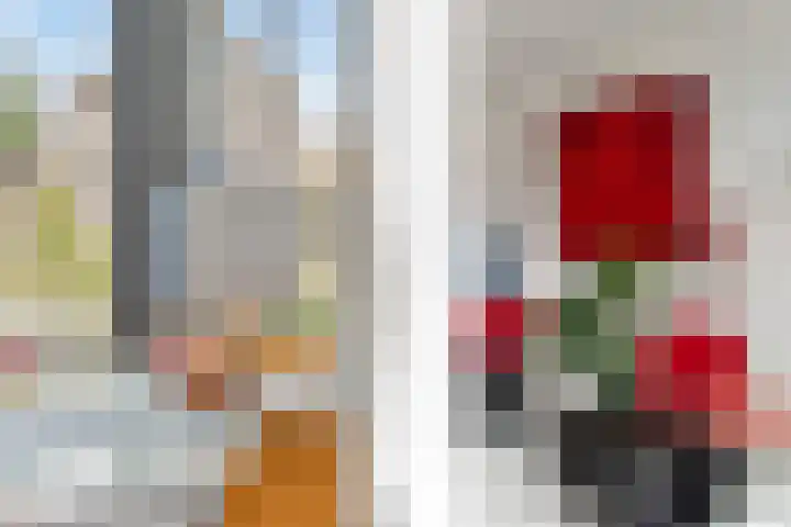 Sterappelhof 30 Zoetermeer thumbnail 30