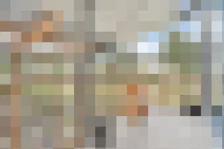 Sterappelhof 30 Zoetermeer thumbnail 45