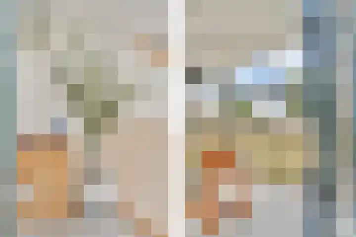 Sterappelhof 30 Zoetermeer thumbnail 46