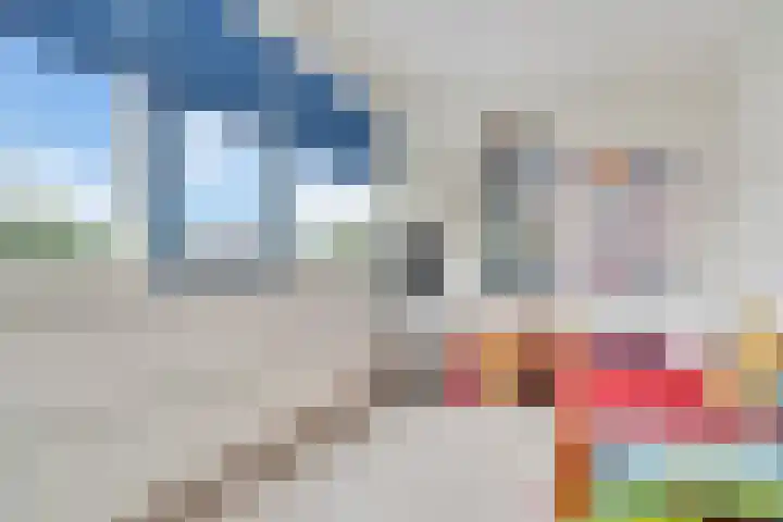 Sterappelhof 30 Zoetermeer thumbnail 58