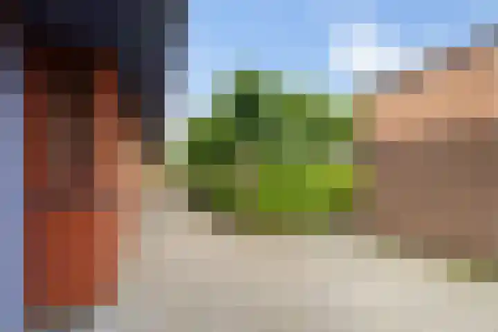 Sterappelhof 30 Zoetermeer thumbnail 6