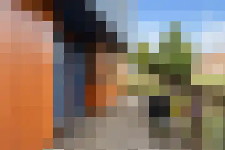 Sterappelhof 30 Zoetermeer thumbnail 7
