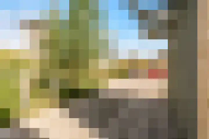 Sterduinstraat 137 Almere thumbnail 4