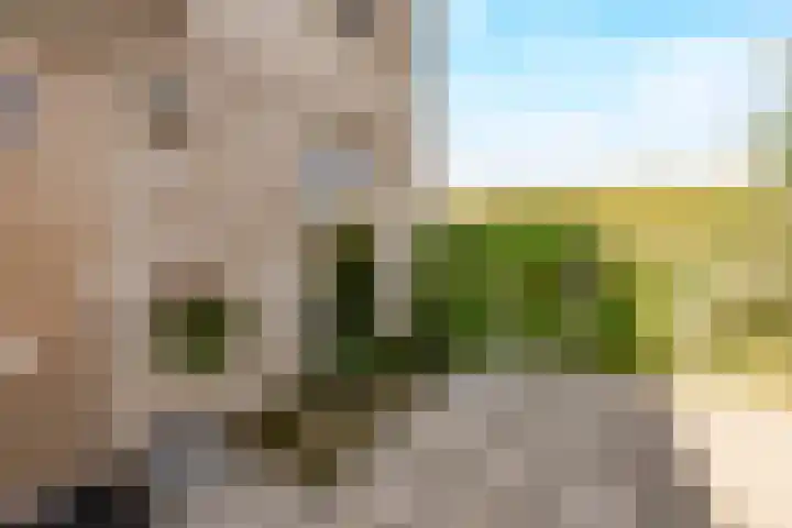 Sterduinstraat 137 Almere thumbnail 5
