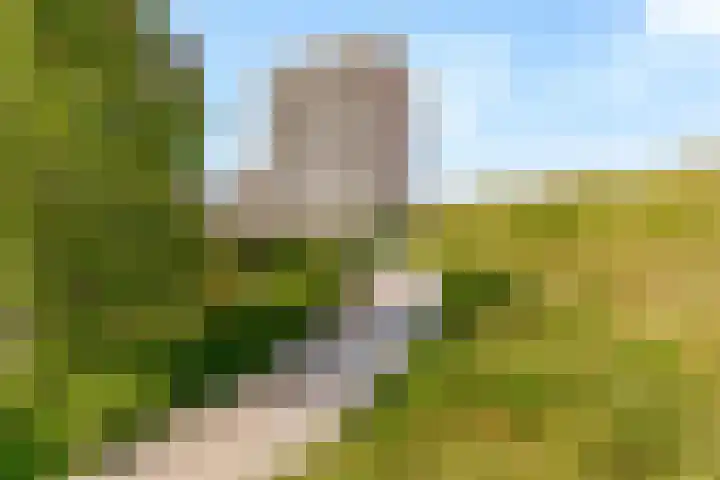 Sterduinstraat 137 Almere thumbnail 52