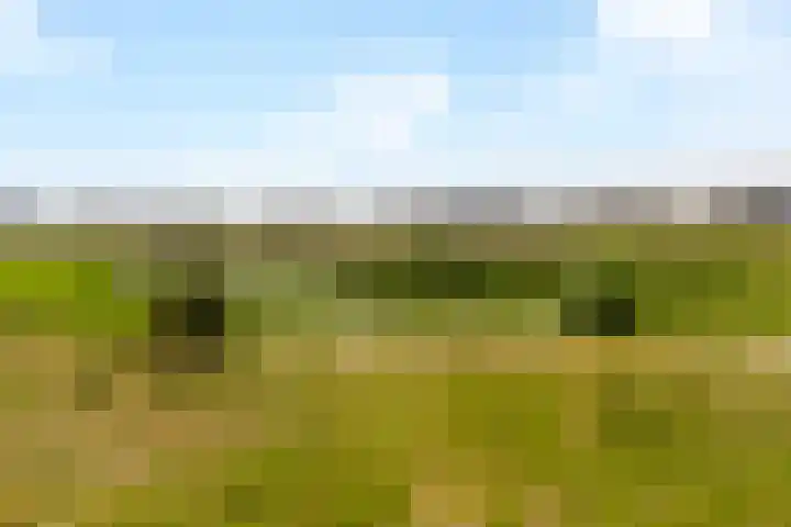 Sterduinstraat 137 Almere thumbnail 56