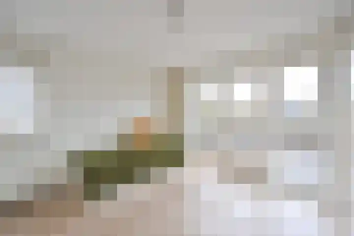 Stern 17 Blaricum thumbnail 14
