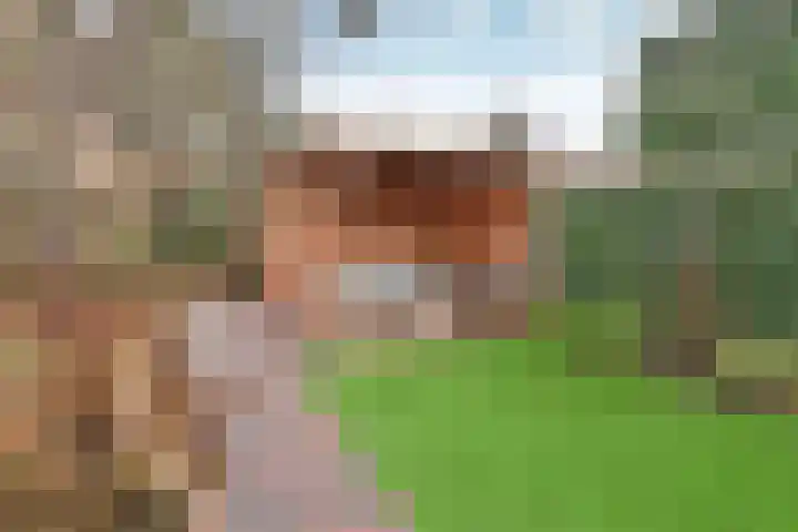Stern 17 Blaricum thumbnail 18