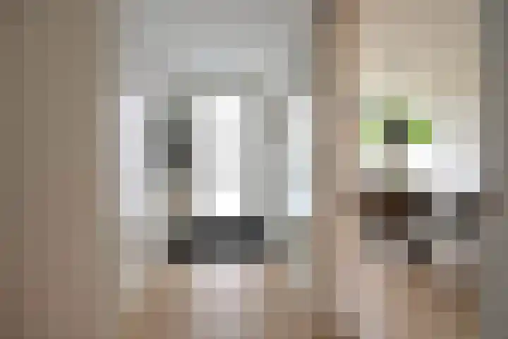Stern 17 Blaricum thumbnail 4
